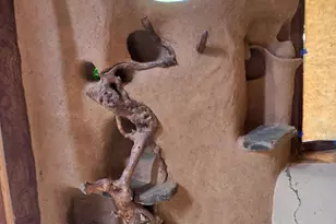 206 Lower Wolf Creek Rd, Wolf Creek, OR 97497 - Photo 34