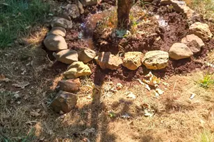 206 Lower Wolf Creek Rd, Wolf Creek, OR 97497 - Photo 18