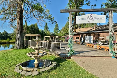 3900 Holland Loop Road, Cave Junction, OR 97523 - Photo 2
