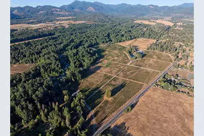 3900 Holland Loop Road, Cave Junction, OR 97523 - Photo 4