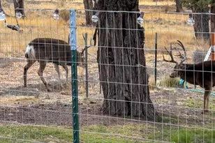 16270 SW Canyon View Pl, Terrebonne, OR 97760 - Photo 58