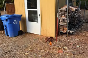 1800 Dick George Rd, Cave Junction, OR 97523 - Photo 28