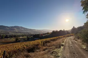 202 Pleasant View Rd, Talent, OR 97540 - Photo 42