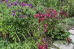 2508 NE Buckwheat Ct, Bend, OR 97701 - Photo 26