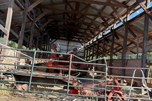 6795 Holland Loop Rd, Cave Junction, OR 97523 - Photo 28