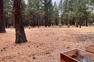 39314 Chiloquin Ridge Rd, Chiloquin, OR 97624 - Photo 34