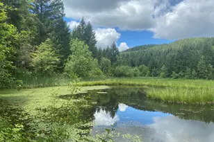 44335 Crater Lake Hwy, Prospect, OR 97536 - Photo 36