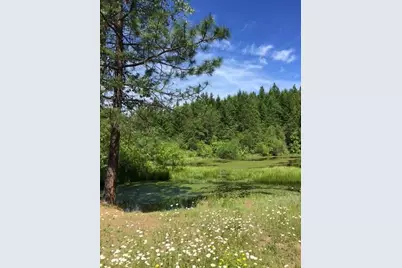 44335 Crater Lake Highway, Prospect, OR 97536 - Photo 50