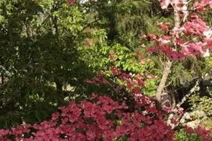 355 Granite St, Ashland, OR 97520 - Photo 52