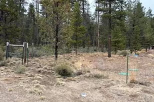 52606 Doe Ln, La Pine, OR 97739 - Photo 34