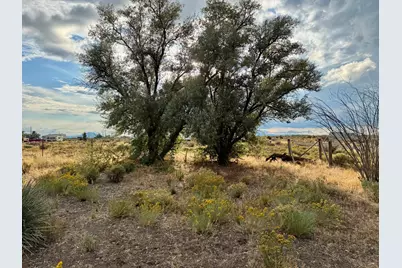57674 Buckskin Road, Christmas Valley, OR 97641 - Photo 10