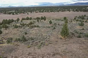 13330 Homeland Rd, Macdoel, CA 96058 - Photo 108