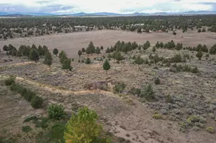 13330 Homeland Rd, Macdoel, CA 96058 - Photo 106