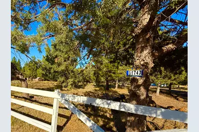 11747 Whispering Pines Drive, Keno, OR 97627 - Photo 48