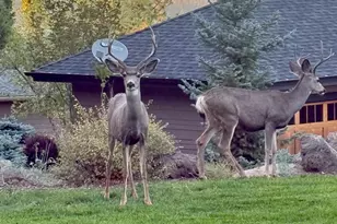 3347 NW Starview Dr, Bend, OR 97703 - Photo 62