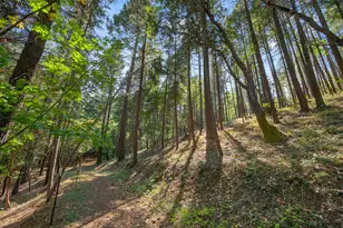 3950 Little Applegate Rd, Jacksonville, OR 97530 - Photo 68