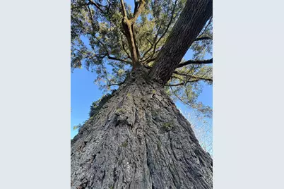 111 Cedar Street, Rogue River, OR 97537 - Photo 88