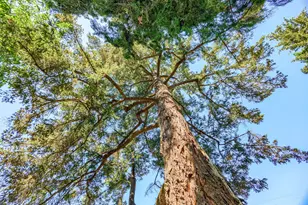 111 Cedar St, Rogue River, OR 97537 - Photo 82