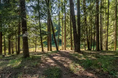 5339 Hardscrabble Road, Drain, OR 97435 - Photo 42