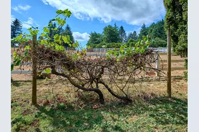 8166 Saghalie Drive S, Salem, OR 97306 - Photo 32