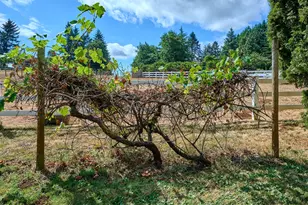 8166 Saghalie Dr S, Salem, OR 97306 - Photo 32