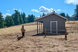 8166 Saghalie Dr S, Salem, OR 97306 - Photo 34