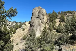 16240 Lost Coyote Ln, Mitchell, OR 97750 - Photo 22