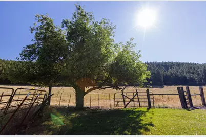 59926 Comstock Road, Cove, OR 97824 - Photo 44
