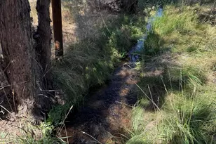 65655 Cline Falls Rd, Bend, OR 97703 - Photo 6