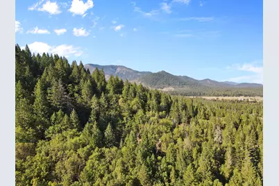 260 Warren Road, Selma, OR 97538 - Photo 1