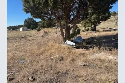 Tl 1200 Millican Road, Brothers, OR 97712 - Photo 28