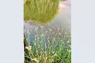 501 Carter Lane, Ashland, OR 97520 - Photo 50