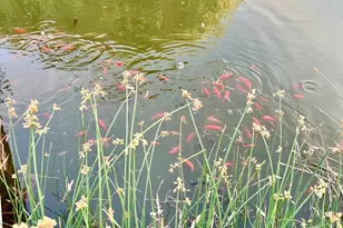 501 Carter Ln, Ashland, OR 97520 - Photo 50