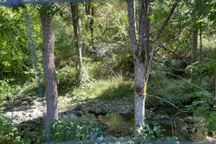 4835 Thompson Creek Rd, Applegate, OR 97530 - Photo 44