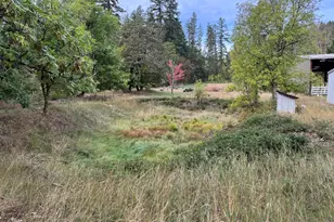 4835 Thompson Creek Rd, Applegate, OR 97530 - Photo 34