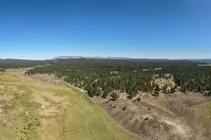 20779 Bear Gulch Rd, Canyon City, OR 97820 - Photo 28