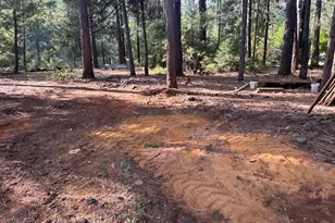 160 Kinnikinnick Dr, Cave Junction, OR 97523 - Photo 4