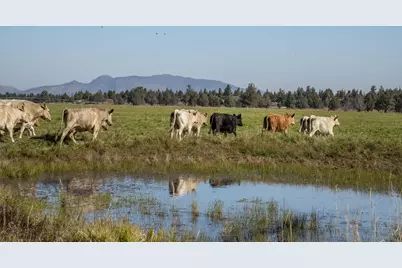 61140 Obernolte Road, Bend, OR 97701 - Photo 38