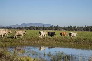 61140 Obernolte Rd, Bend, OR 97701 - Photo 38