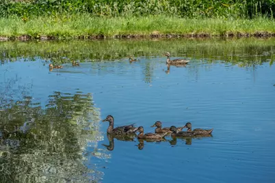 21925 Bear Creek Road, Bend, OR 97701 - Photo 92