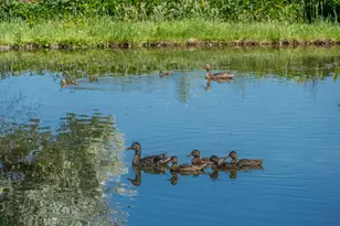 21925 Bear Creek Rd, Bend, OR 97701 - Photo 92