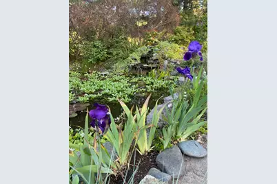 1121 Yeust Road, Azalea, OR 97410 - Photo 62