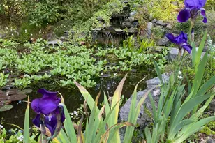 1121 Yeust Rd, Azalea, OR 97410 - Photo 62