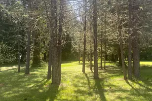 1121 Yeust Rd, Azalea, OR 97410 - Photo 54