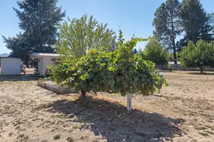 2951 Rogue River Hwy, Gold Hill, OR 97525 - Photo 64