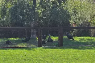 2944 SE Triangle Outfit Dr, Prineville, OR 97754 - Photo 46