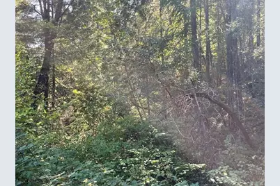 8000 Thompson Creek Road, Williams, OR 97544 - Photo 4