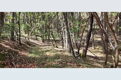 Pinecrest Drive, Grants Pass, OR 97526 - Photo 2
