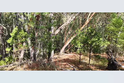 Pinecrest Drive, Grants Pass, OR 97526 - Photo 8