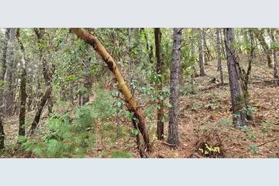 Pinecrest Drive, Grants Pass, OR 97526 - Photo 16